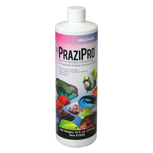 Aquarium Solutions Prazipro : 16oz