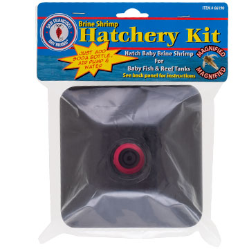 San Francisco Bay Brine Shrimp Hatchery Kit