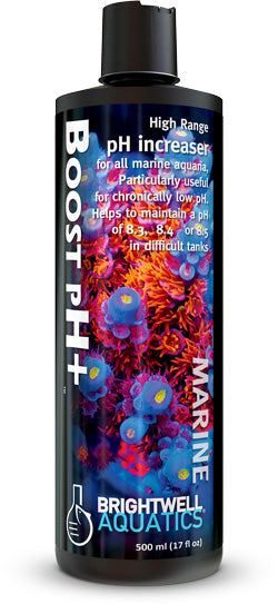 Brightwell Boost pH+ : 250mL