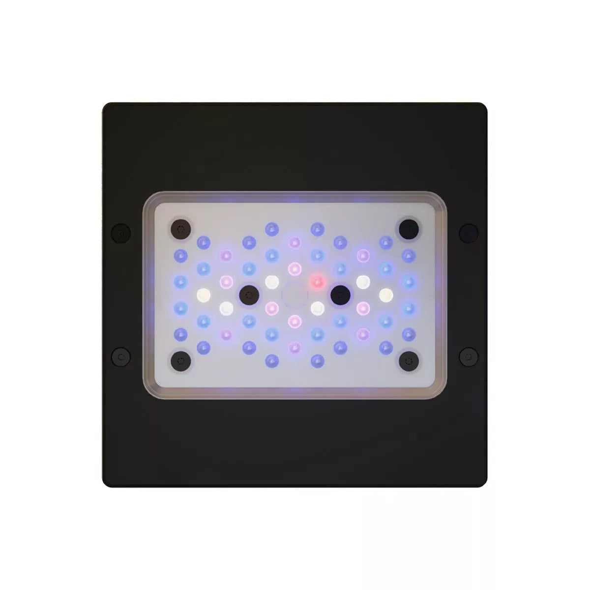 EcoTech Marine Radion XR30 or XR15 G6 Blue LED Light Fixture