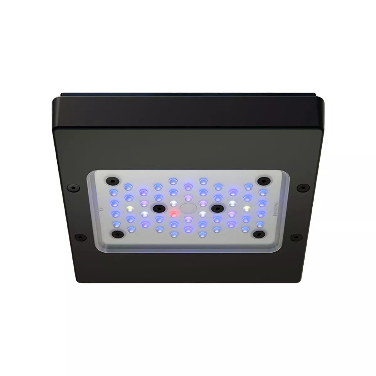 EcoTech Marine Radion XR30 or XR15 G6 Blue LED Light Fixture