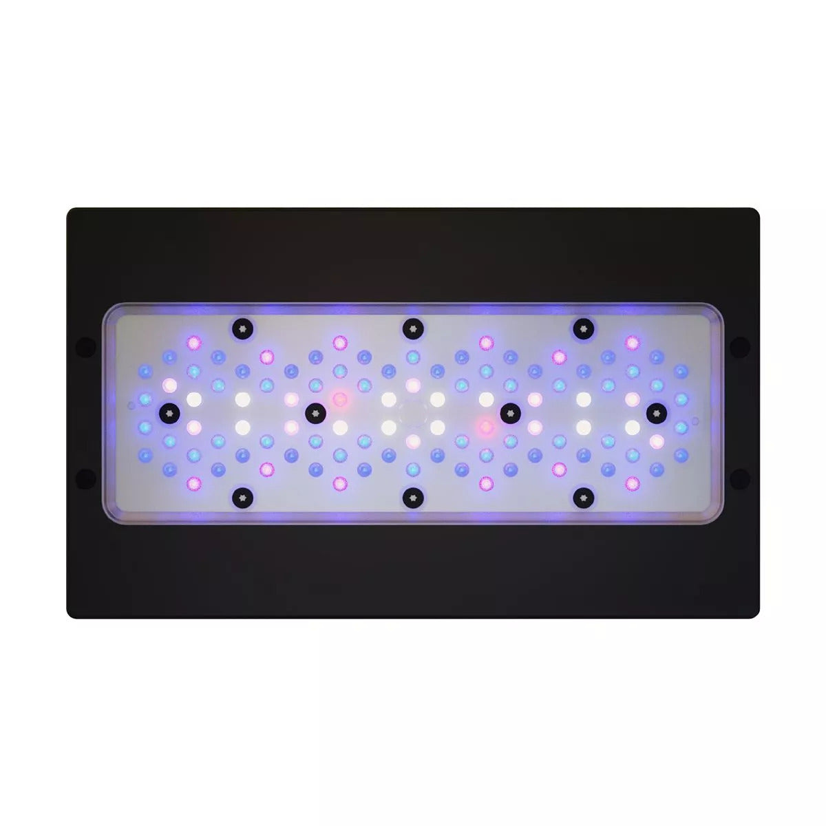 EcoTech Marine Radion XR30 or XR15 G6 Blue LED Light Fixture