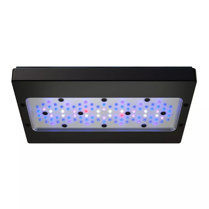 EcoTech Marine Radion XR30 or XR15 G6 Blue LED Light Fixture